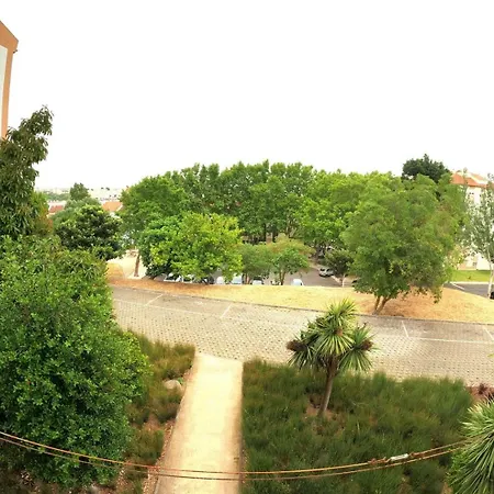 Carcavelos, 3 Bedroom Renovated, S. D. Rana * 카르카벨로스